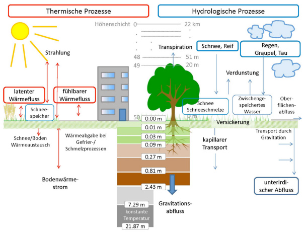 Abb. 2: Beispiel für die thermischen und hydrologischen Prozesse im Landoberflächenmodell TERRA-ML im CCLM (nach Hermans, 2016).